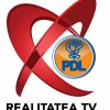 Realitatea Tv PD-L logo sigla