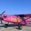 Avion mov roz